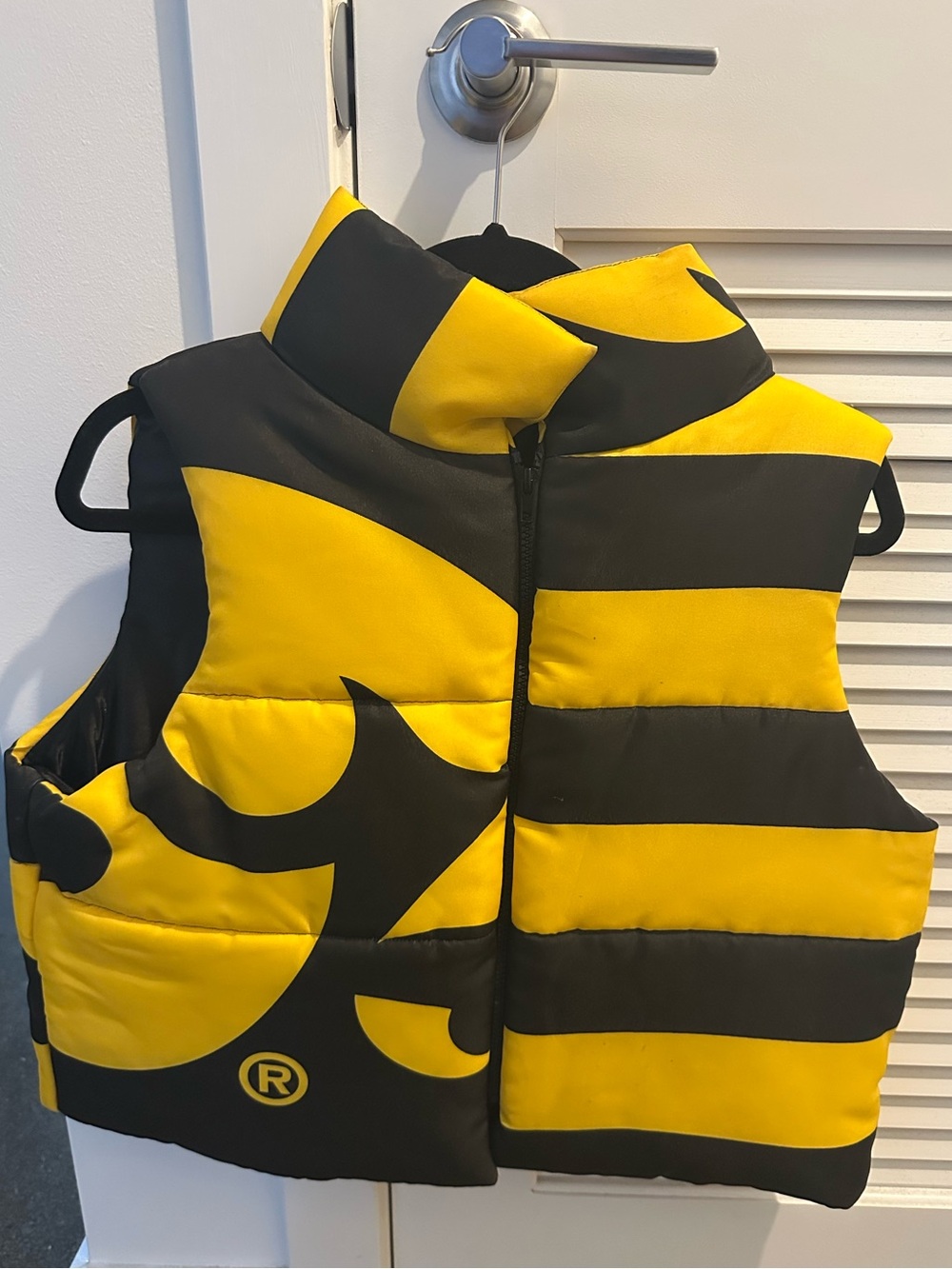 Custom Iowa Hawkeye Puffer Vest